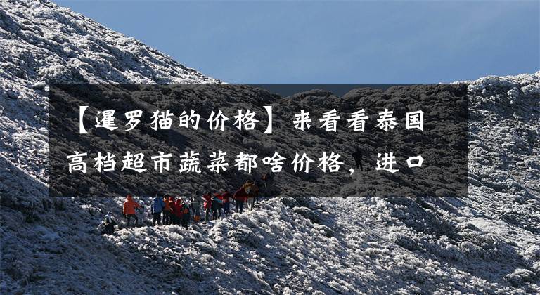 【暹罗猫的价格】来看看泰国高档超市蔬菜都啥价格，进口西蓝花每斤五元，贵不？