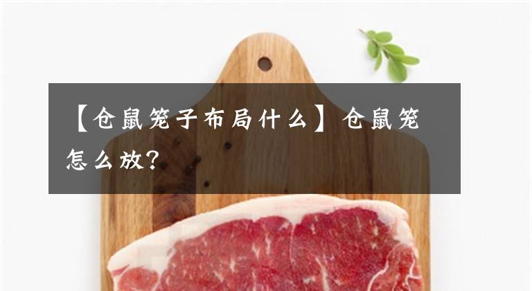 【仓鼠笼子布局什么】仓鼠笼怎么放？