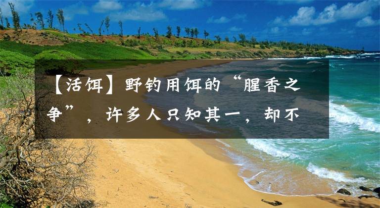 【活饵】野钓用饵的“腥香之争”，许多人只知其一，却不知其二