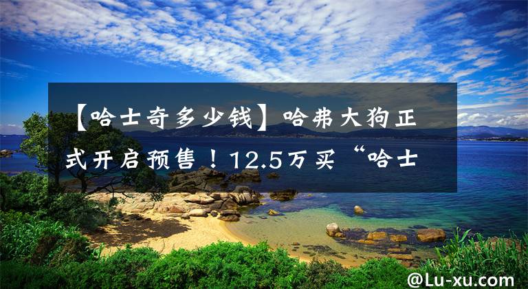 【哈士奇多少钱】哈弗大狗正式开启预售！12.5万买“哈士奇”