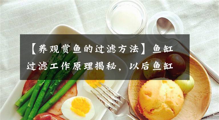 【养观赏鱼的过滤方法】鱼缸过滤工作原理揭秘，以后鱼缸不加过滤，同样能水清鱼靓地养鱼