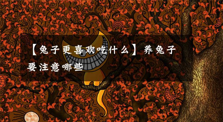 【兔子更喜欢吃什么】养兔子要注意哪些