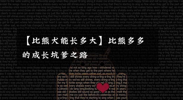 【比熊犬能长多大】比熊多多的成长坑爹之路