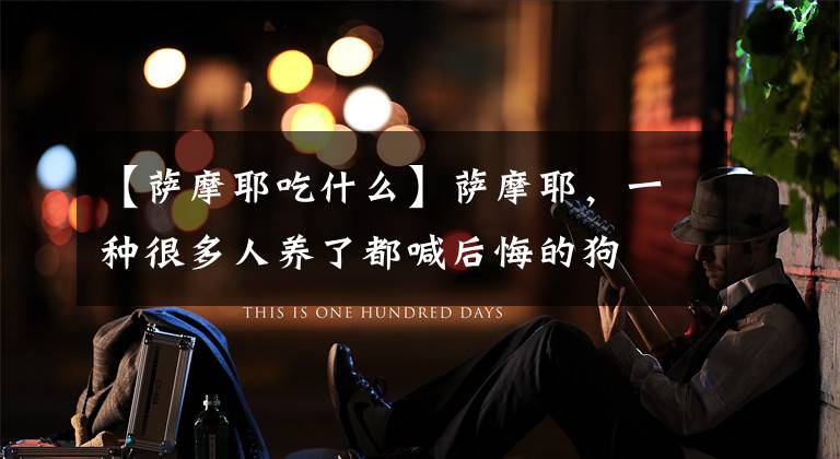 【萨摩耶吃什么】萨摩耶，一种很多人养了都喊后悔的狗