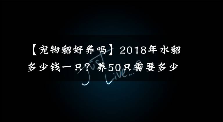 【宠物貂好养吗】2018年水貂多少钱一只？养50只需要多少成本？