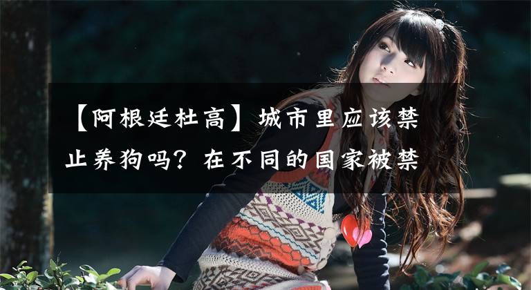 【阿根廷杜高】城市里应该禁止养狗吗？在不同的国家被禁止的8种狗