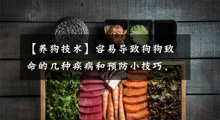 【养狗技术】容易导致狗狗致命的几种疾病和预防小技巧，铲屎官可以了解一下