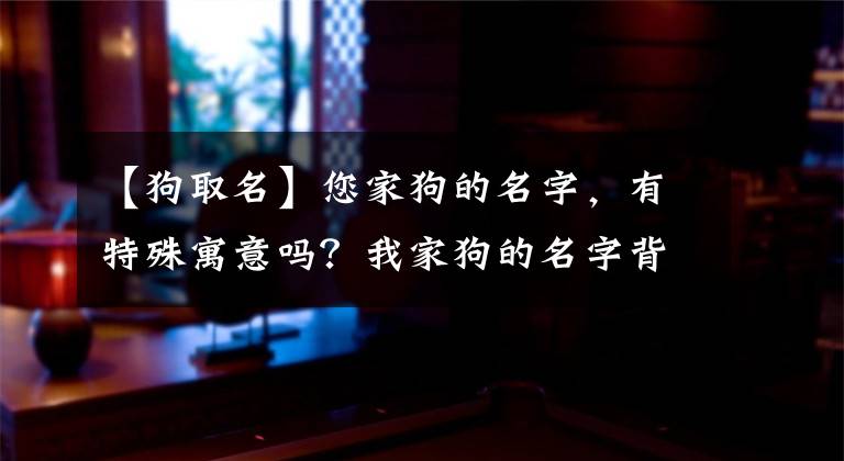 【狗取名】您家狗的名字，有特殊寓意吗？我家狗的名字背后，有个催泪的故事