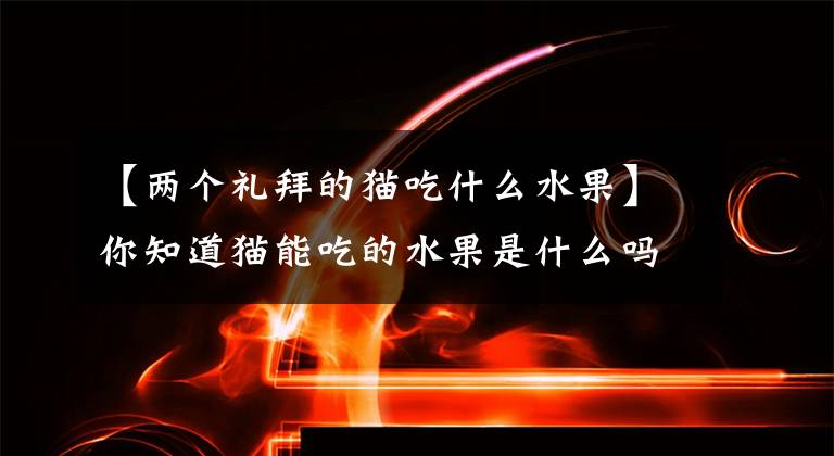 【两个礼拜的猫吃什么水果】你知道猫能吃的水果是什么吗？