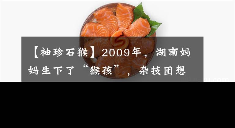 【袖珍石猴】2009年，湖南妈妈生下了“猴孩”，杂技团想出钱购买，后来怎样？