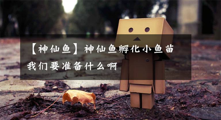 【神仙鱼】神仙鱼孵化小鱼苗我们要准备什么啊