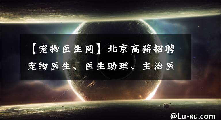 【宠物医生网】北京高薪招聘宠物医生、医生助理、主治医生，欢迎加入