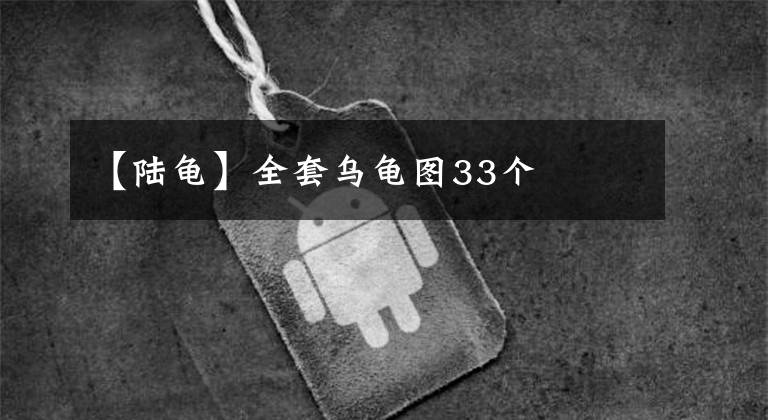 【陆龟】全套乌龟图33个