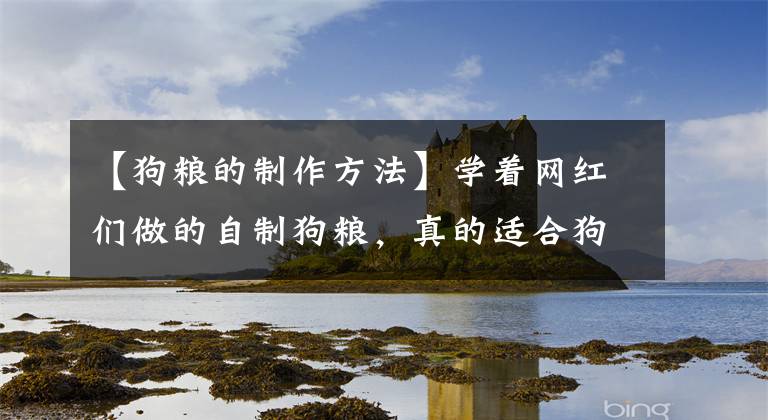 【狗粮的制作方法】学着网红们做的自制狗粮，真的适合狗狗吗？怎样才算好的自制狗粮