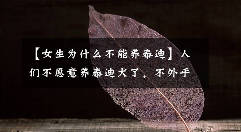 【女生为什么不能养泰迪】人们不愿意养泰迪犬了，不外乎是这几个原因