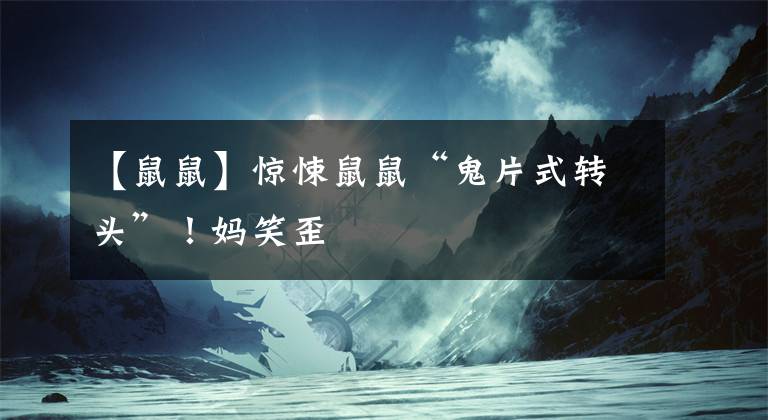 【鼠鼠】惊悚鼠鼠“鬼片式转头”！妈笑歪