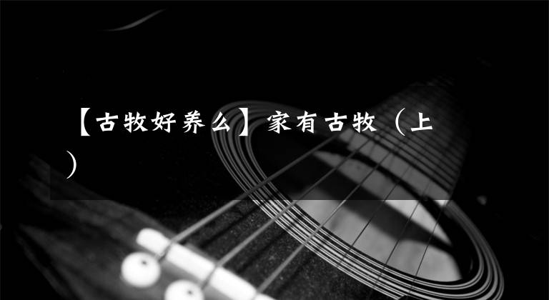 【古牧好养么】家有古牧（上）