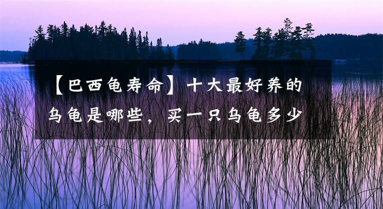 【巴西龟寿命】十大最好养的乌龟是哪些，买一只乌龟多少钱
