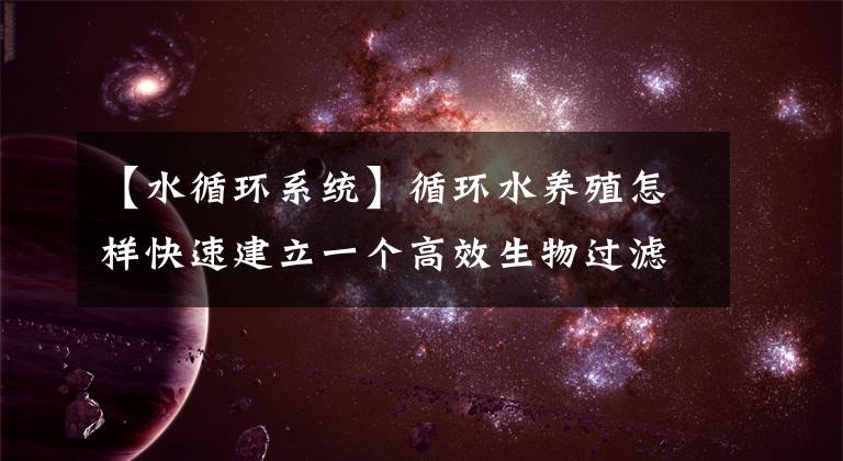 【水循环系统】循环水养殖怎样快速建立一个高效生物过滤系统