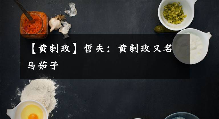 【黄刺玫】哲夫：黄刺玫又名马茹子