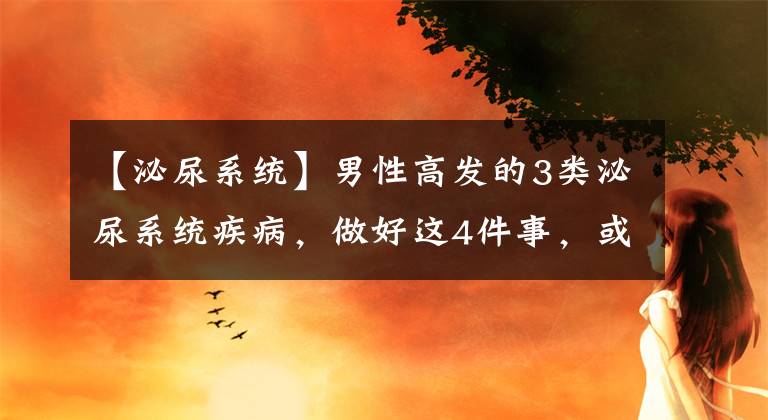 【泌尿系统】男性高发的3类泌尿系统疾病，做好这4件事，或许能预防