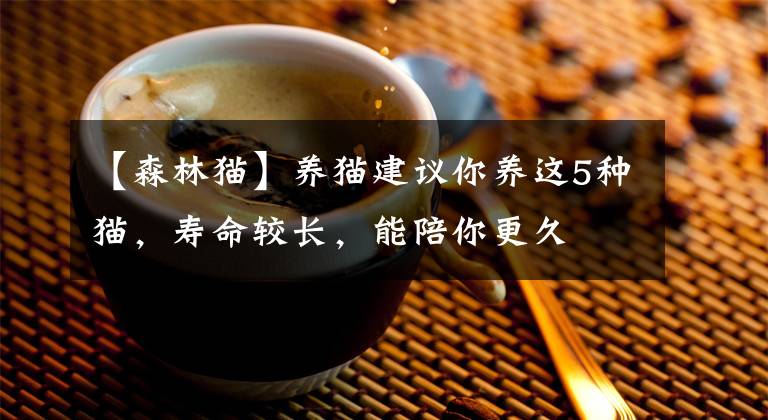 【森林猫】养猫建议你养这5种猫，寿命较长，能陪你更久