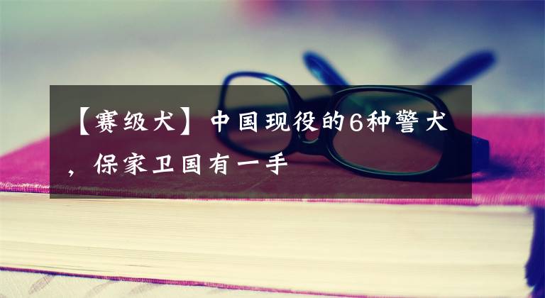 【赛级犬】中国现役的6种警犬，保家卫国有一手
