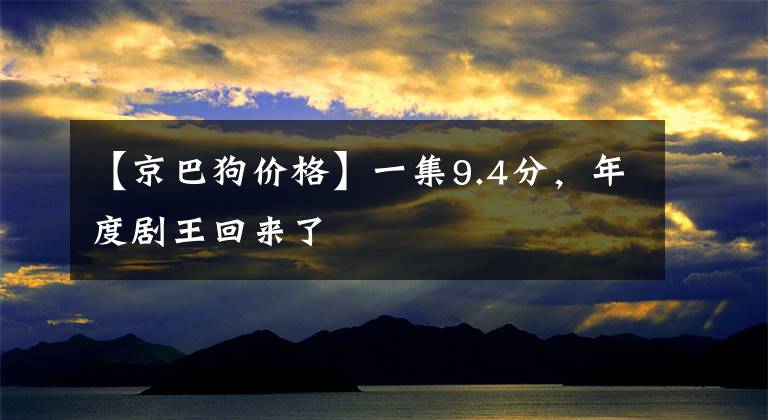 【京巴狗价格】一集9.4分，年度剧王回来了