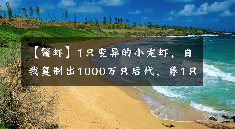 【鳌虾】1只变异的小龙虾，自我复制出1000万只后代，养1只就可以吃一辈子