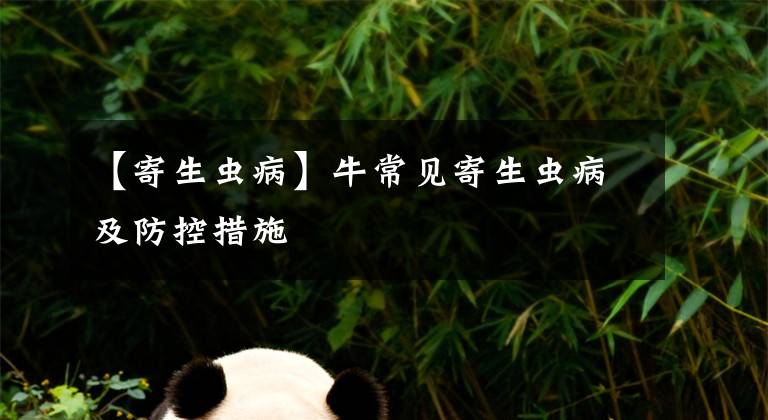 【寄生虫病】牛常见寄生虫病及防控措施