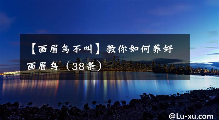 【画眉鸟不叫】教你如何养好画眉鸟（38条）