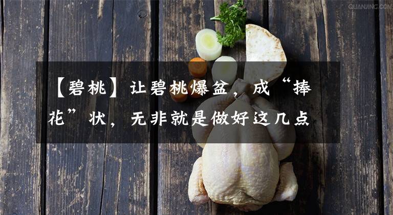 【碧桃】让碧桃爆盆，成“捧花”状，无非就是做好这几点
