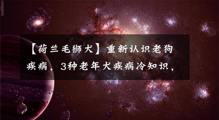 【荷兰毛狮犬】重新认识老狗疾病，3种老年犬疾病冷知识，了解狗狗说不出的痛