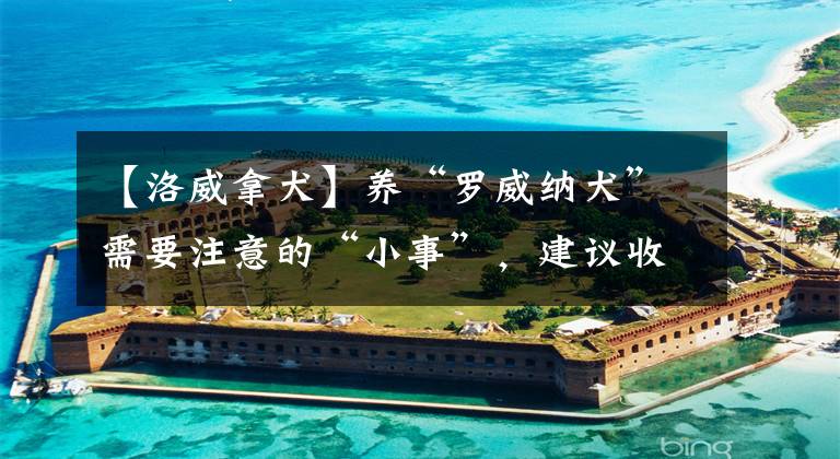 【洛威拿犬】养“罗威纳犬”需要注意的“小事”，建议收藏