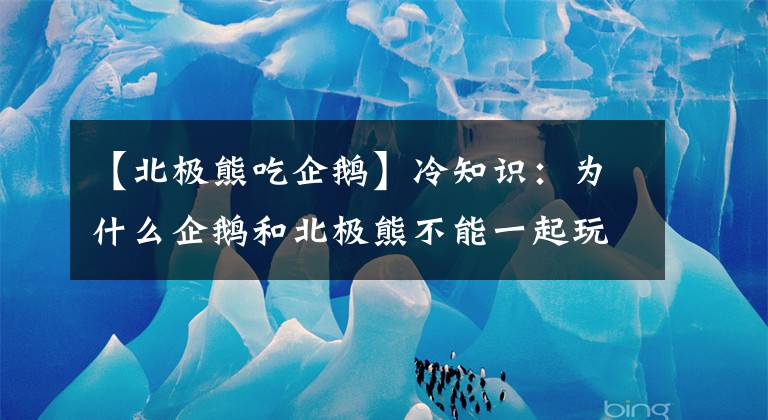 【北极熊吃企鹅】冷知识：为什么企鹅和北极熊不能一起玩？北极熊到南极会怎样？