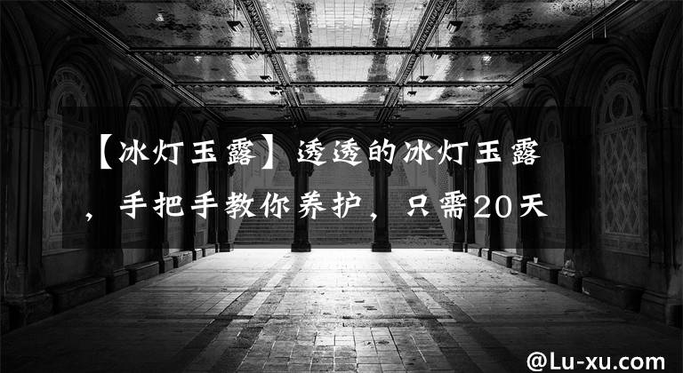 【冰灯玉露】透透的冰灯玉露，手把手教你养护，只需20天，养出“大天窗”