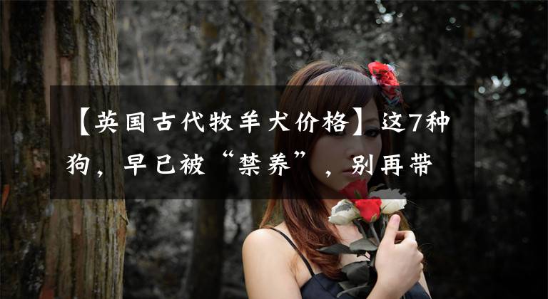 【英国古代牧羊犬价格】这7种狗，早已被“禁养”，别再带回家了