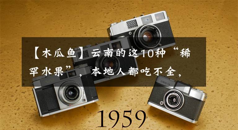 【木瓜鱼】云南的这10种“稀罕水果”，本地人都吃不全，你知道哪几种？