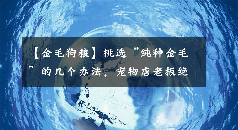 【金毛狗粮】挑选“纯种金毛”的几个办法，宠物店老板绝不会告诉你