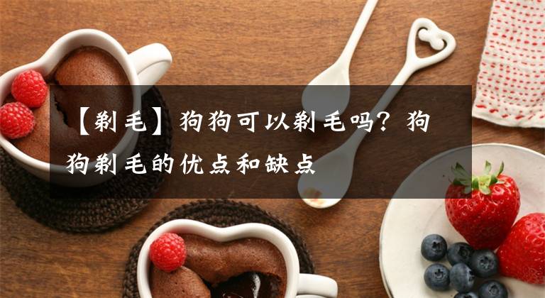 【剃毛】狗狗可以剃毛吗？狗狗剃毛的优点和缺点