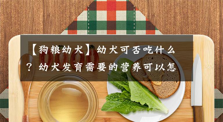 【狗粮幼犬】幼犬可否吃什么？幼犬发育需要的营养可以怎么补充？