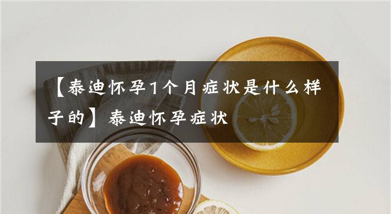 【泰迪怀孕1个月症状是什么样子的】泰迪怀孕症状