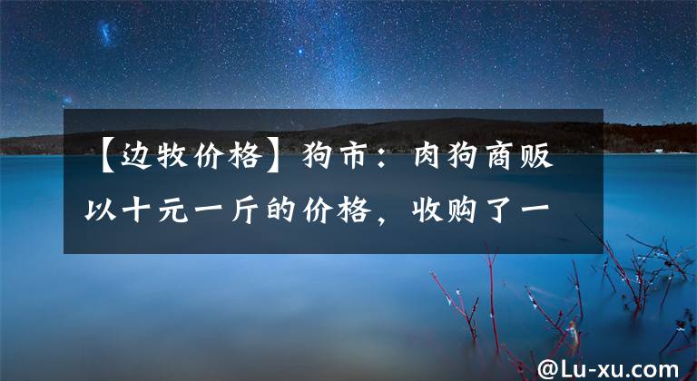 【边牧价格】狗市：肉狗商贩以十元一斤的价格，收购了一只狗市少见边牧！