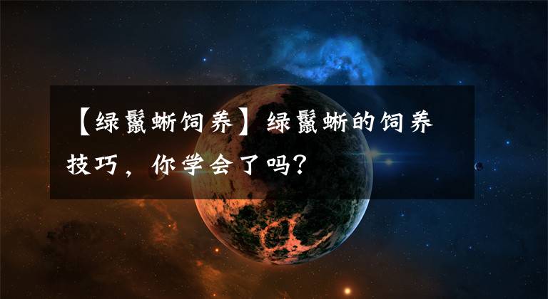 【绿鬣蜥饲养】绿鬣蜥的饲养技巧，你学会了吗？