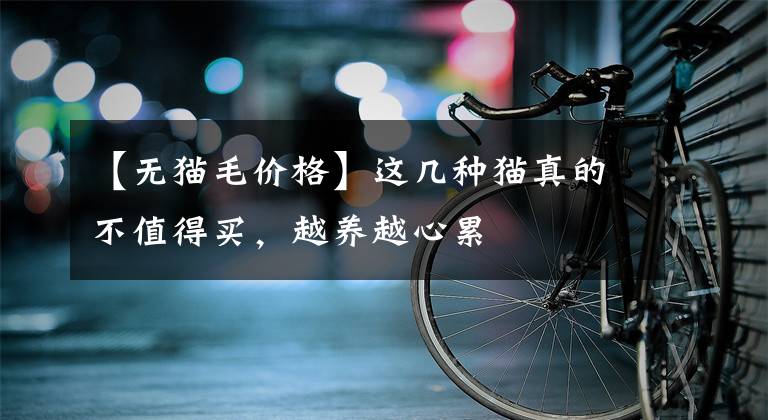 【无猫毛价格】这几种猫真的不值得买，越养越心累