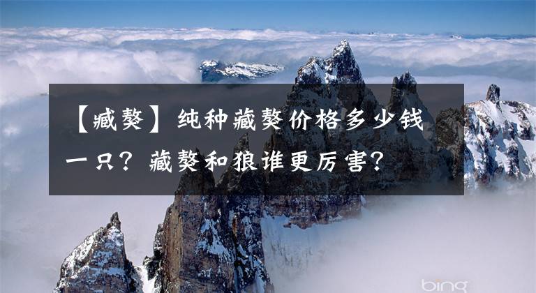 【臧獒】纯种藏獒价格多少钱一只？藏獒和狼谁更厉害？