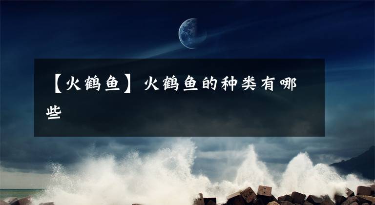 【火鹤鱼】火鹤鱼的种类有哪些