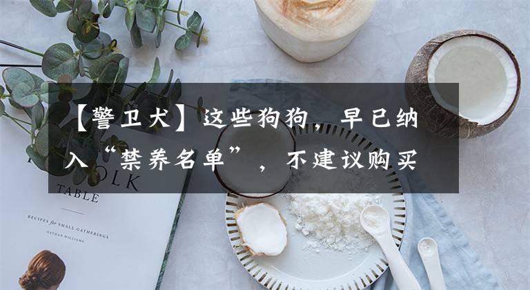 【警卫犬】这些狗狗，早已纳入“禁养名单”，不建议购买
