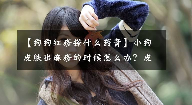 【狗狗红疹搽什么药膏】小狗皮肤出麻疹的时候怎么办？皮肤霜给你做三天。
