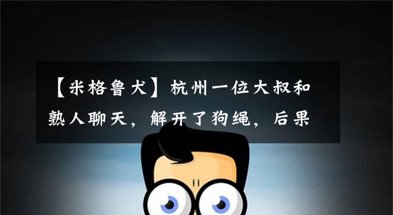 【米格鲁犬】杭州一位大叔和熟人聊天，解开了狗绳，后果很严重